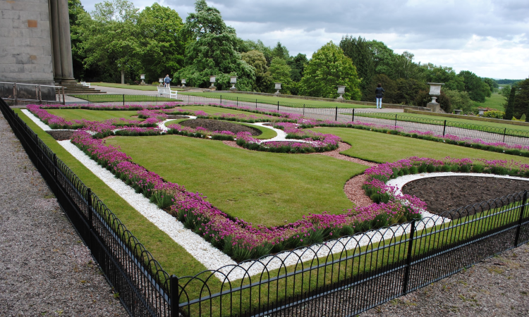 thriving yard in phoenix essential lawn care tips